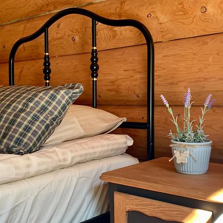 Kasepuu Holiday House Uulu Екстер'єр фото